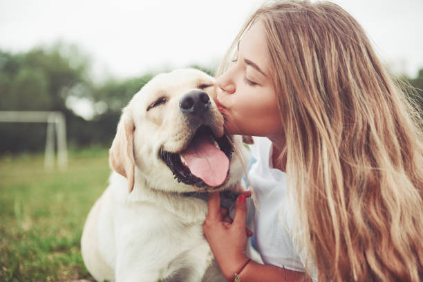 Loved by 50,000+ Pet Owners