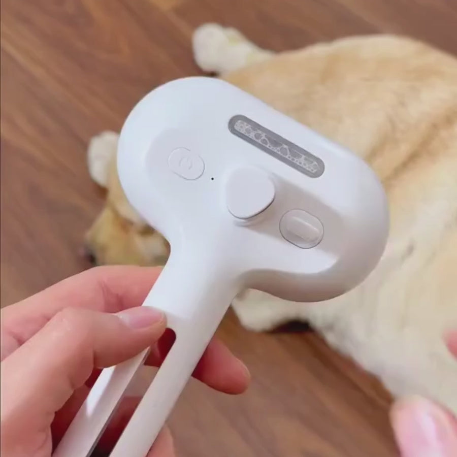 dog pet steam brush
